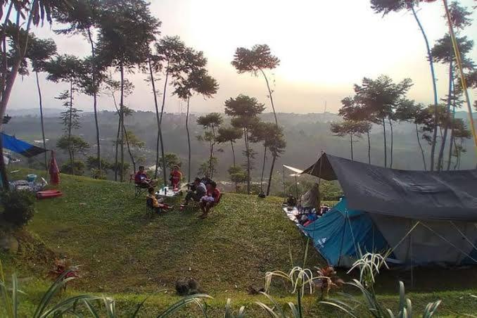Wong Deso Tenda mewah