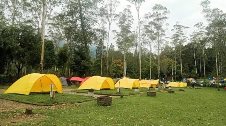 Wong Deso Tenda mewah *