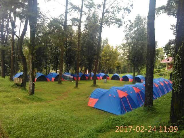 Wong Deso Tenda mewah