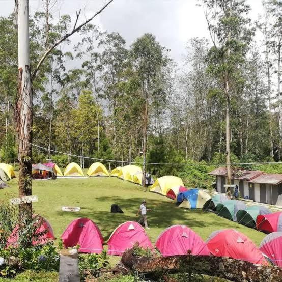 Tenda mewah Wong Deso *