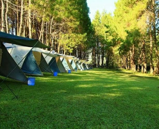 Wong Deso Tenda mewah *