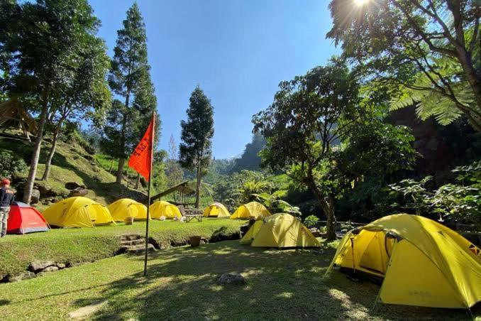 Wong Deso Tenda mewah *